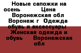 Новые сапожки на осень ZENDEN › Цена ­ 1 500 - Воронежская обл., Воронеж г. Одежда, обувь и аксессуары » Женская одежда и обувь   . Воронежская обл.